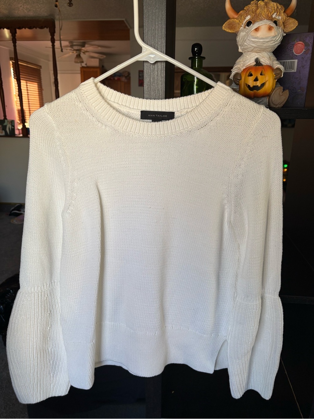 Ann Taylor Ivory Scoop Neck Knit Sweater